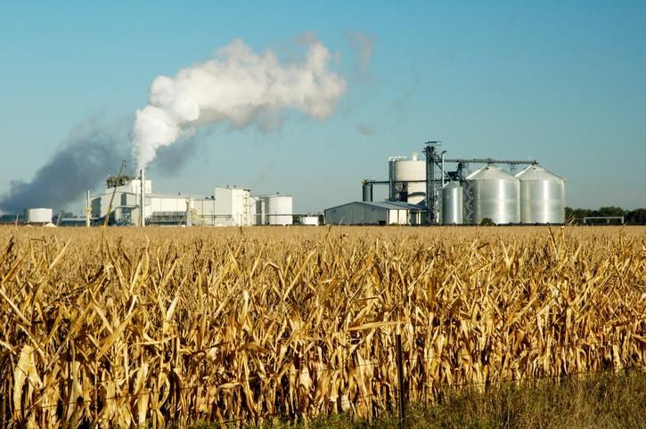 El sector del etanol preocupado por el impacto del proyecto de “Ley Ómnibus” 