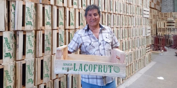 Cómo viven las familias de Mendoza donde “se producen los mejores melones del país”