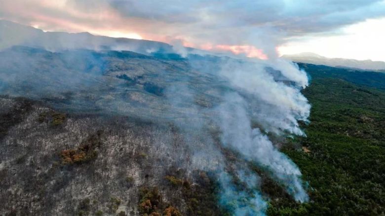 Fuera de control: el incendio forestal del Parque Nacional Los Alerces ya consumió casi 600 hectáreas
