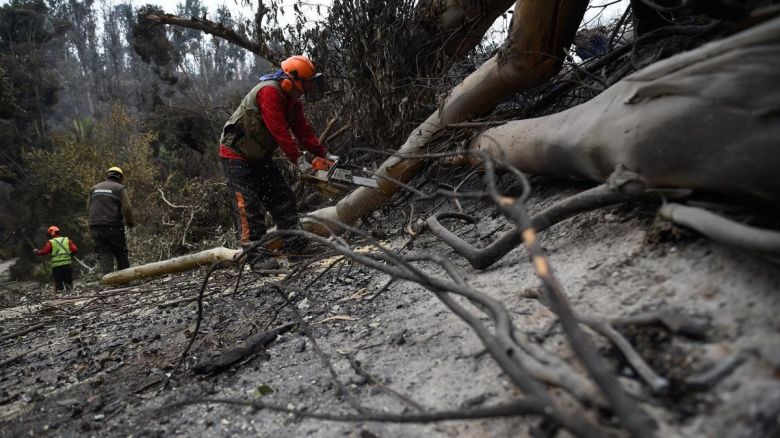 Chile: los bomberos ya lograron extinguir los incendios que dejaron más de 130 muertos