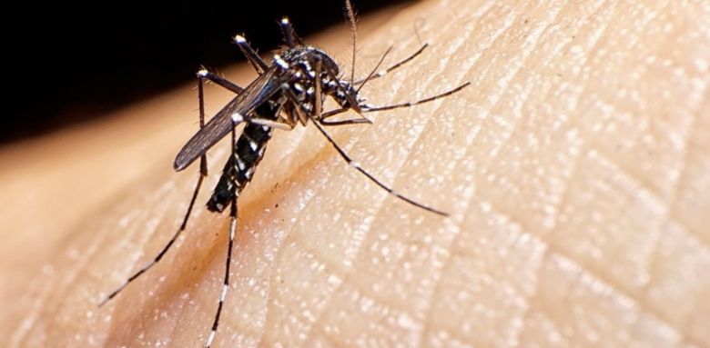 "En Villa María hay circulación viral del Dengue y estamos atravesando un brote"