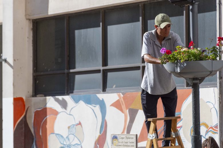 Trabajo articulado: embellecen el centro con flores producidas por los internos del Servicio Penitenciario