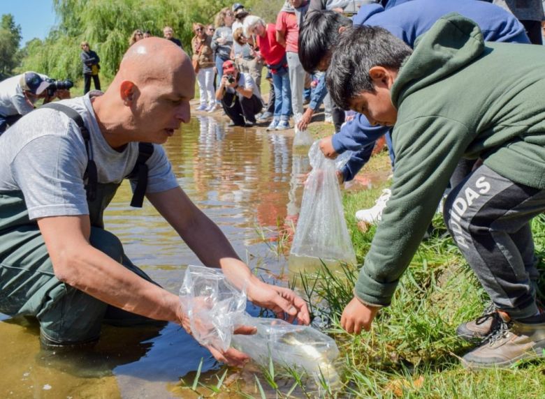 Ambiente coordina esfuerzos para restaurar poblaciones del dorado en el Río Ctalamochita