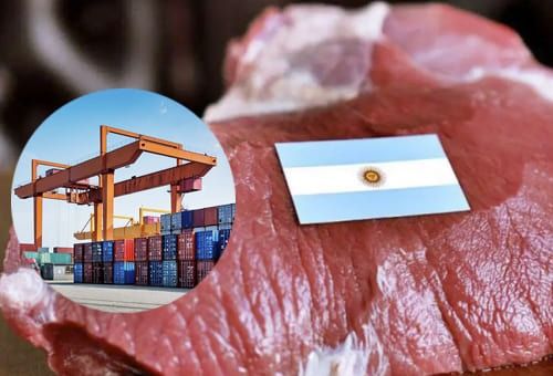 El Gobierno celebró el dato de las exportaciones de carne