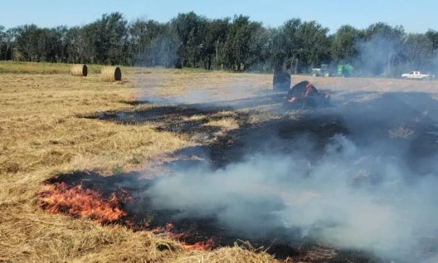 Berrotarán: Incendio de un campo al norte de la localidad