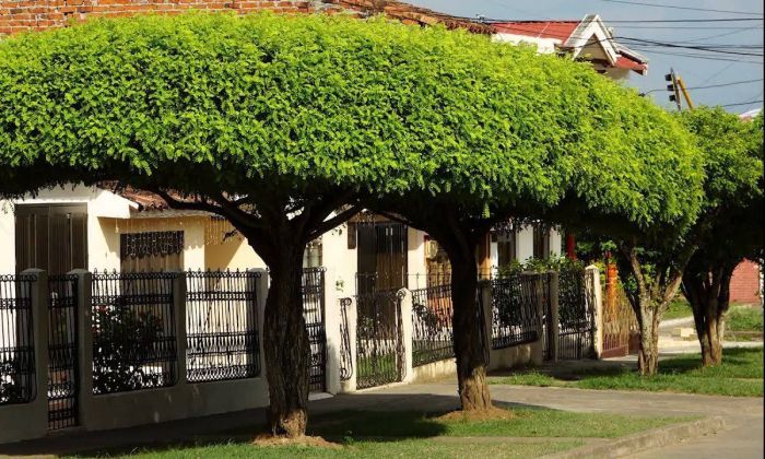 Villa María: es obligatorio tener dos plantas en un frente de 5 metros