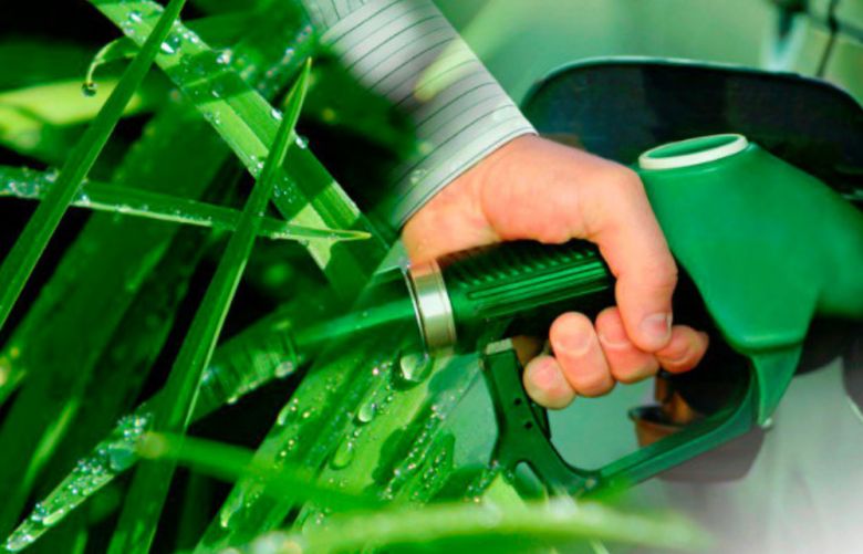Presentan proyecto para que los colectivos de la SAT utilicen biocombustibles