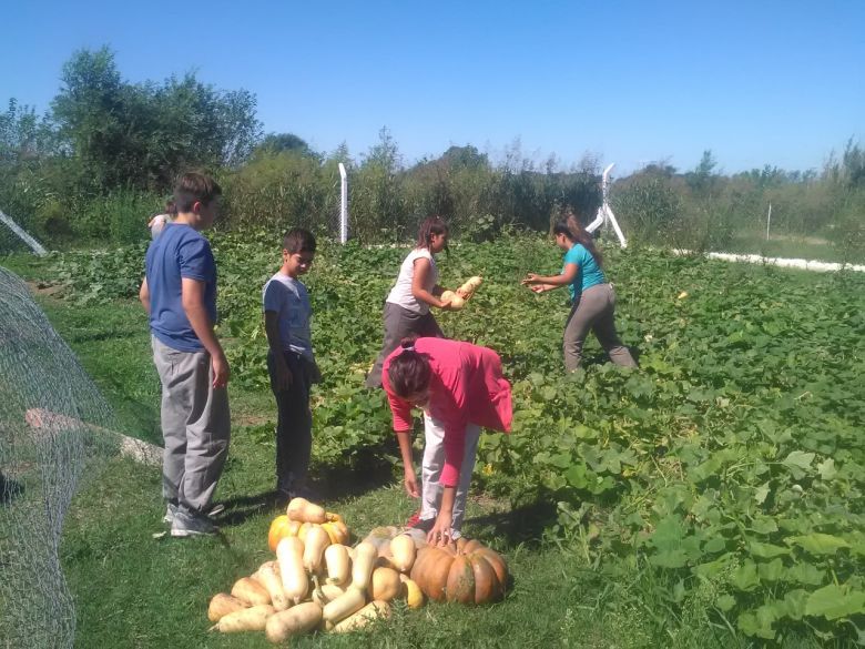 Día de la enseñanza agropecuaria: una escuela con salida laboral y un internado para más de 80 chicos
