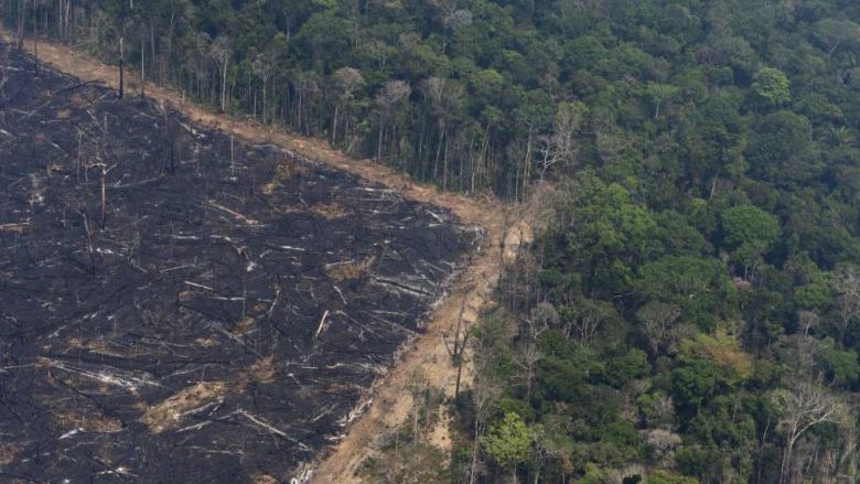 La ‘sabanización’ de la Amazonia amenaza a todo el planeta