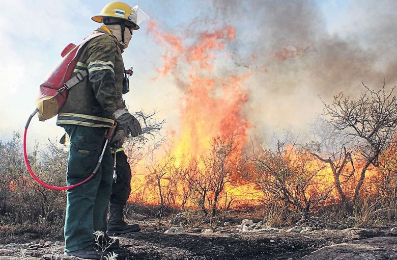 13 bomberos cordobeses viajan a combatir el fuego en la Amazonia