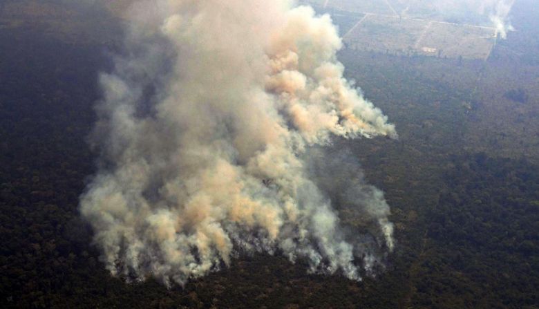 Es la angurria y no la sequía lo que incendia el Amazonas
