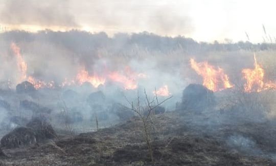 Dos incendios intencionales quemaron cuatro hectáreas cerca de la UNRC y hubo quintas en peligro