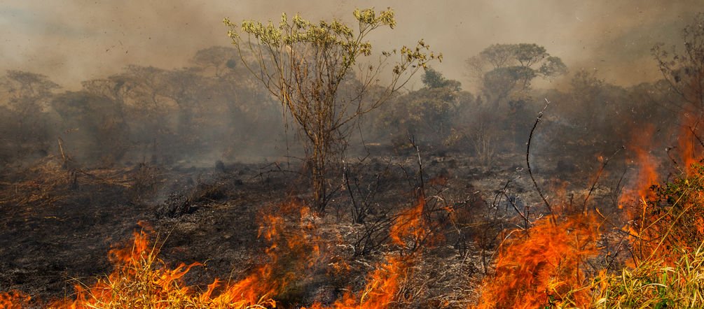 Bomberos de Las Higueras sofocaron un nuevo incendio en la reserva natural Chocancharava
