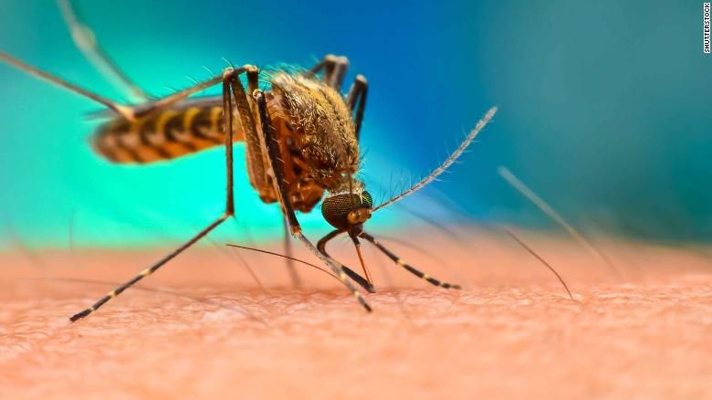 Confirman 339 casos de dengue en Córdoba 