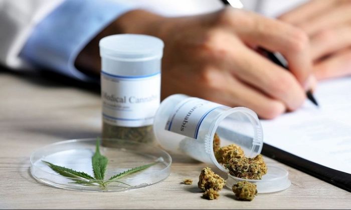 Cannabis: permitirán el cultivo personal y comunitario para uso terapéutico
