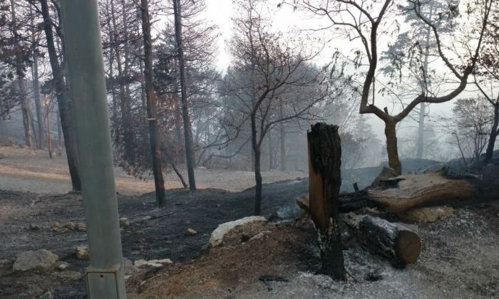 Varios focos de incendio siguen activos y ya son graves los daños ambientales