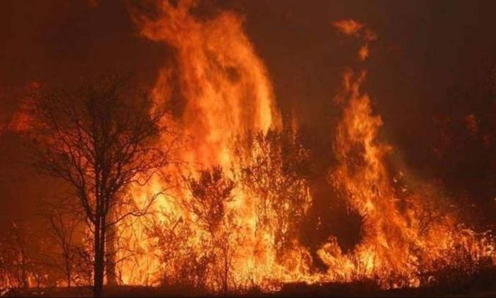 Organizaciones y vecinos de las Sierras del Sur buscan formar un comité de emergencia para evitar incendios