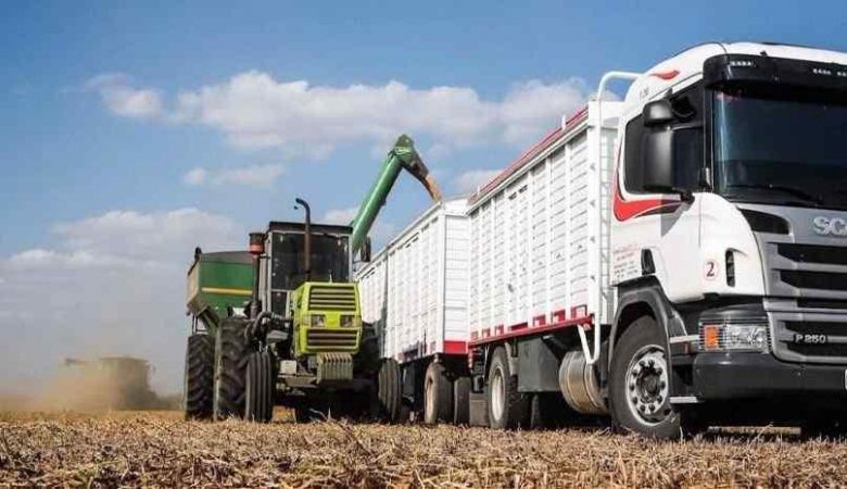 “Cerca de 500 mil camiones con cereales para exportación llegaron al puerto de Rosario en lo que va del año”