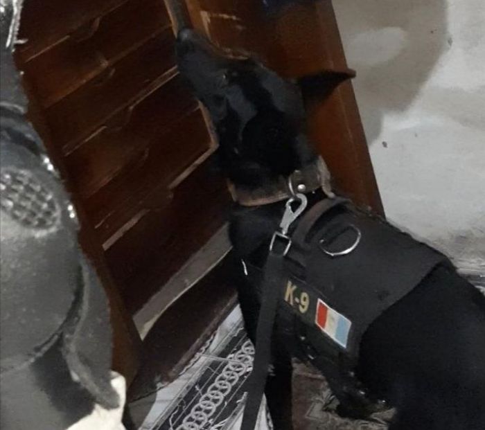 La FPA halló drogas en el macrocentro de Río Cuarto con la ayuda de un perro 