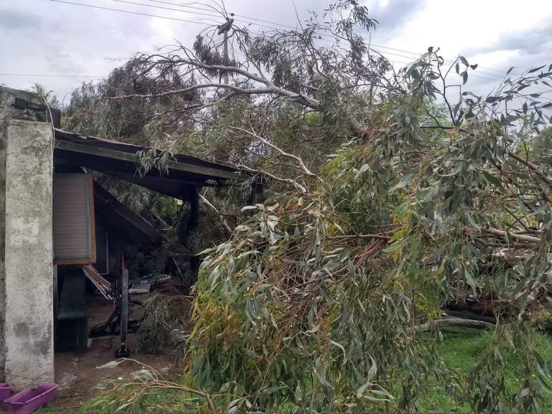 Nicolás Bruzzone: una tormenta en la madrugada causó importantes destrozos