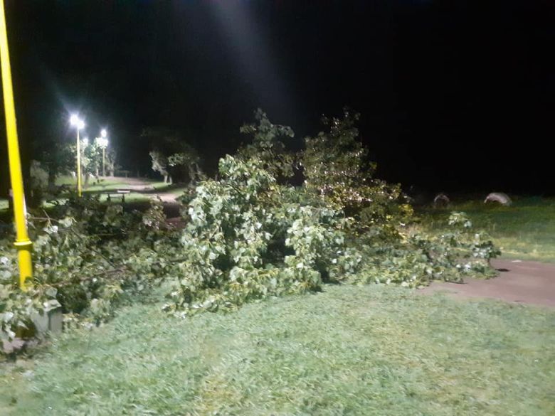 Sampacho sufrió voladuras de techos y caída de árboles a causa de la tormenta 