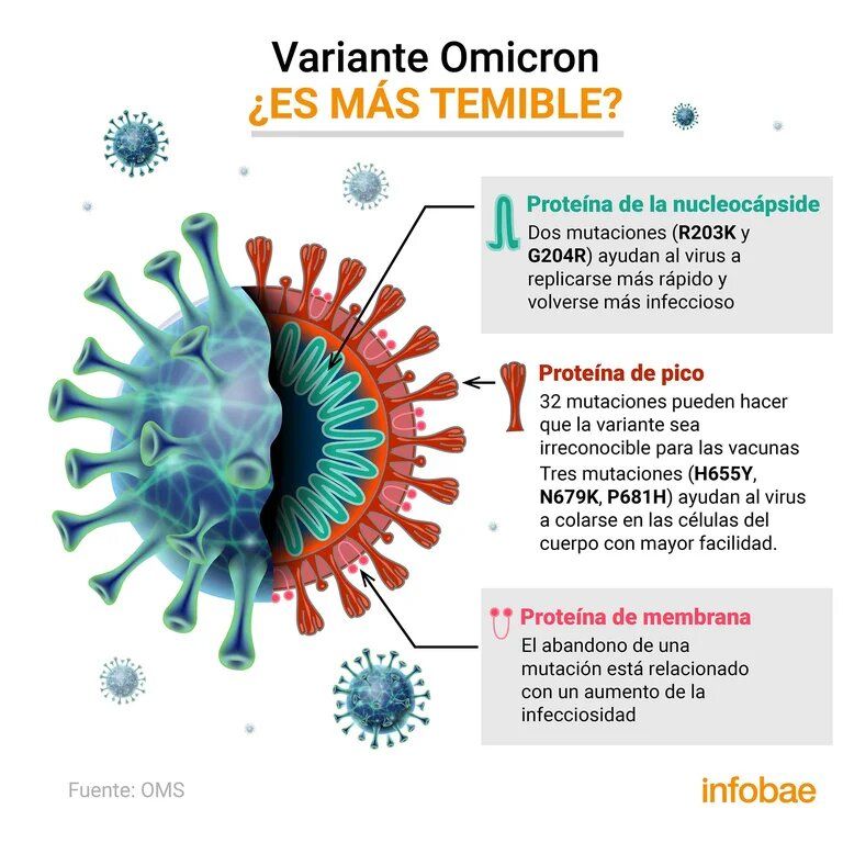 La estructura molecular de Ómicron podría explicar por qué puede evadir las vacunas en varios casos