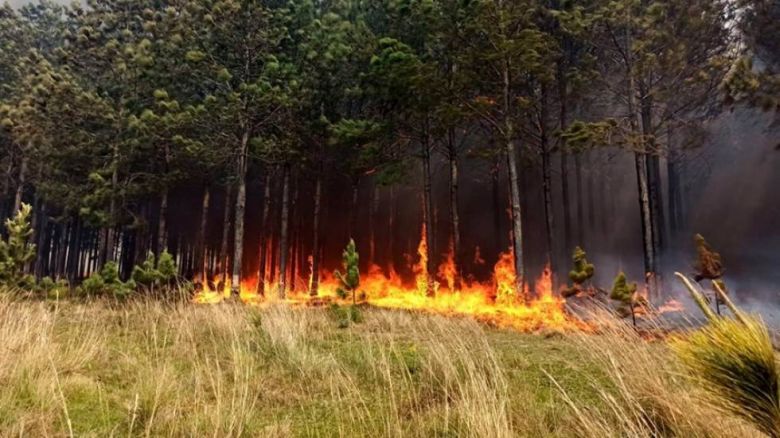 Situación crítica en Corrientes por los incendios y la falta de lluvia que afecta a las producciones 