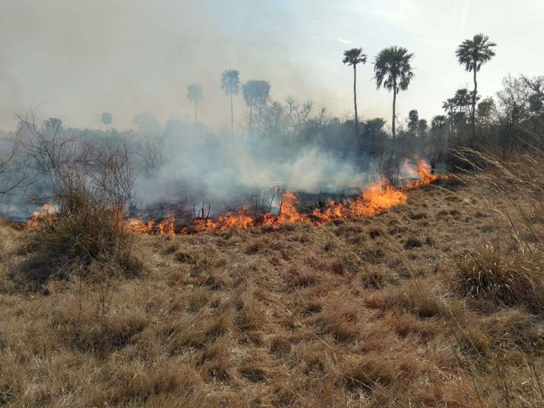 Situación crítica en Corrientes por los incendios y la falta de lluvia que afecta a las producciones 