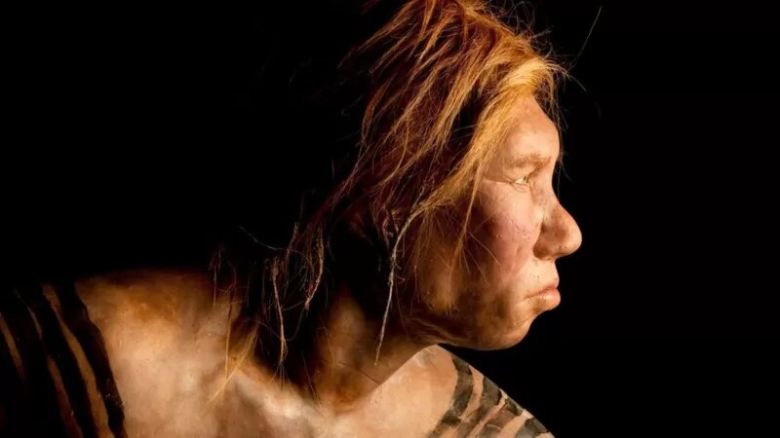 El hallazgo que sugiere que los neandertales y los humanos modernos convivieron durante 10.000 años en Europa