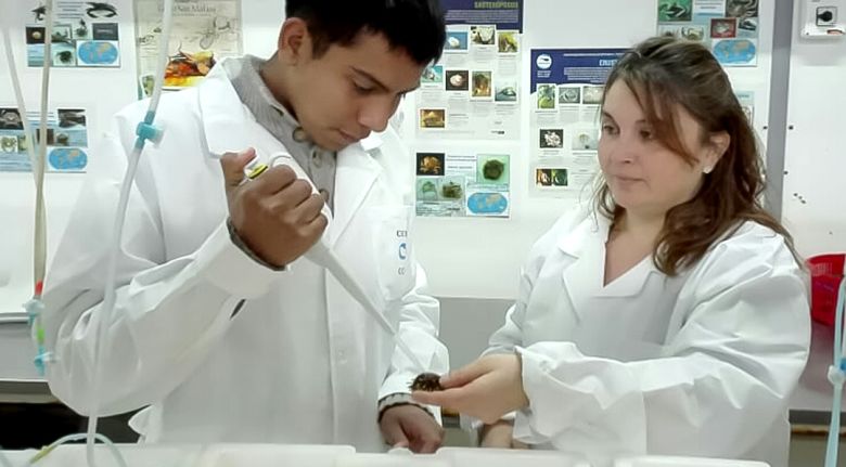 Un grupo de científicos de Chubut desarrollan el primer tratamiento contra las secuelas del coronavirus