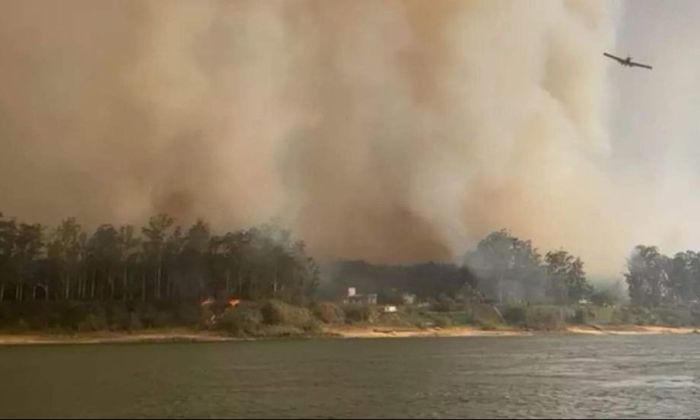 Incendios en Corrientes: ya se perdieron 520 mil hectáreas y distintas provincias ofrecen su ayuda