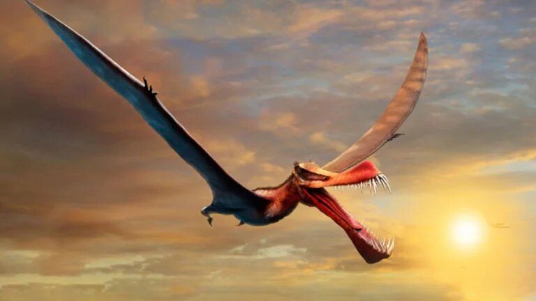 Hallaron los restos del pterosaurio jurásico más grande del mundo