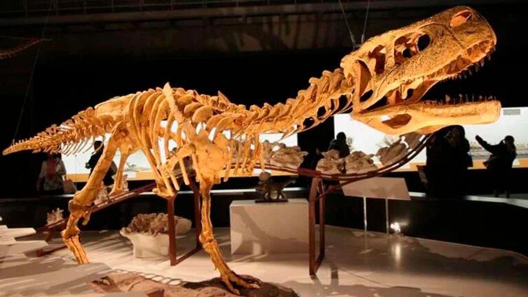 Descubren en Argentina una nueva especie de dinosaurio con brazos muy cortos