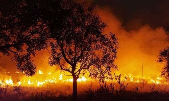 Hasta fines de febrero se quemaron en Corrientes 1.042.000 hectáreas, el 12 por ciento de la provincia
