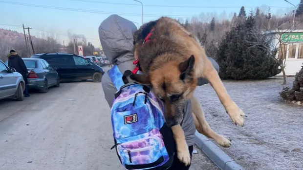 La mujer que caminó 17 kilómetros cargando a su perra anciana para huir de Ucrania: «No podía abandonarla»