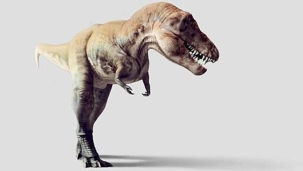 Explican por qué el T. rex tenía los brazos tan ridículamente cortos