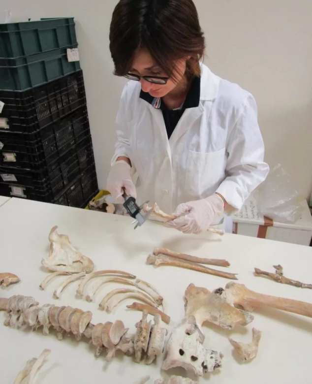 Los fascinantes "secretos genéticos" hallados en dos cuerpos preservados de la erupción de Pompeya
