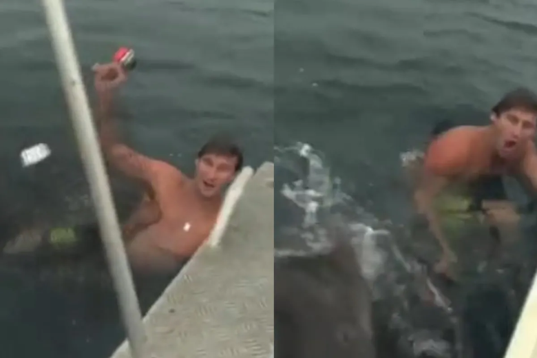 “Filmamos la muerte”: nadaba en el mar y quedó cara a cara con un tiburón