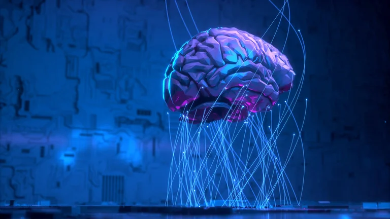 Dónde se ubica el lenguaje en el cerebro, según los expertos del MIT