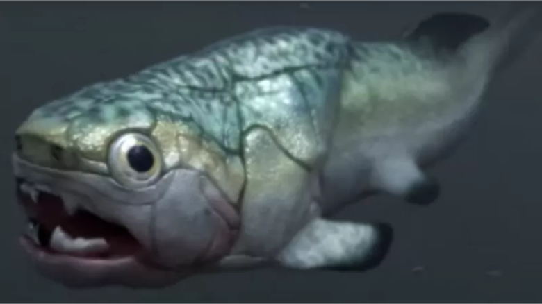 Hallan el corazón más antiguo del mundo en un pez prehistórico