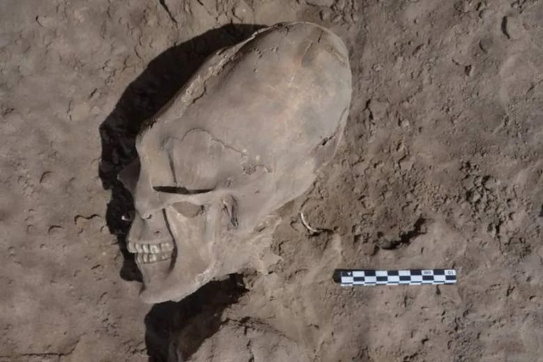La verdadera historia detrás del hallazgo de los cráneos ovalados en Sonora que despertó teorías alienígenas
