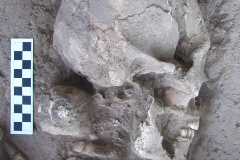 La verdadera historia detrás del hallazgo de los cráneos ovalados en Sonora que despertó teorías alienígenas