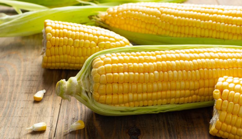 La oferta de maíz en general está afectada