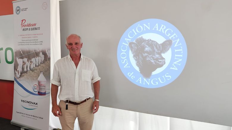 La Asociación Argentina de Angus buscó DEPs para que los animales sean más dóciles