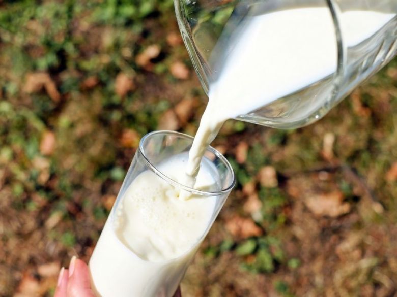 Milkaut compró a Ilolay y se convirtió en la tercera empresa láctea de Argentina