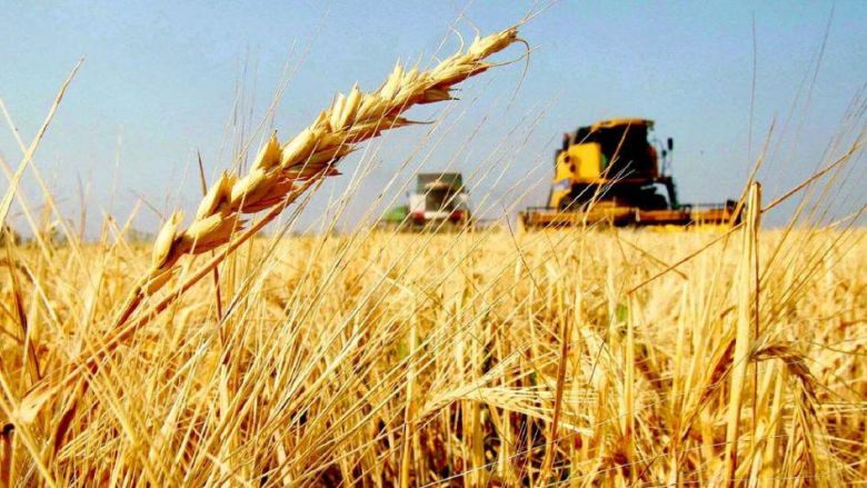 Los precios de los cereales bajan en Argentina por el contexto internacional