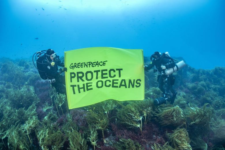 La Comisión del Océano Antártico vuelve a fracasar en acordar un plan de acción sobre la protección de los océanos