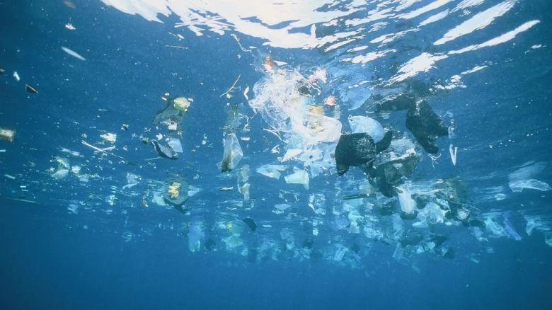Contaminación plástica: la ingeniería microbiana creó un material infinitamente reciclable