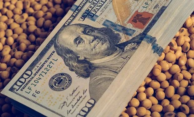 Se prorrogaría el dólar soja 4 hasta el 25 de octubre