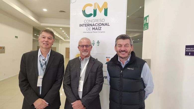 Maizall: La alianza estratégica entre Argentina, Brasil y Estados Unidos para potenciar el cultivo de maíz